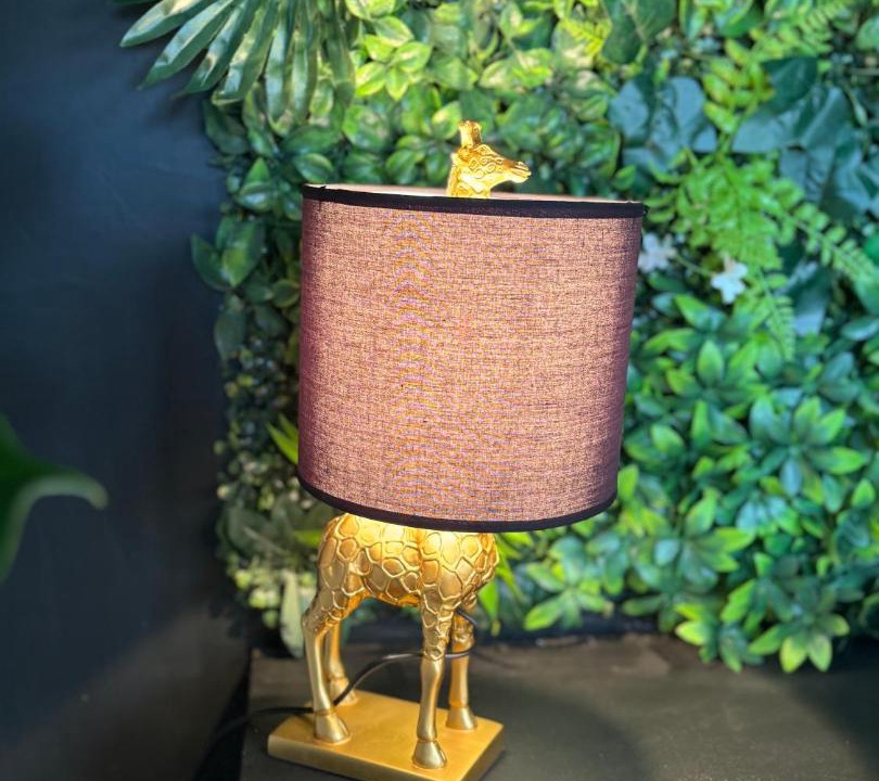 Photo of Others in Arras