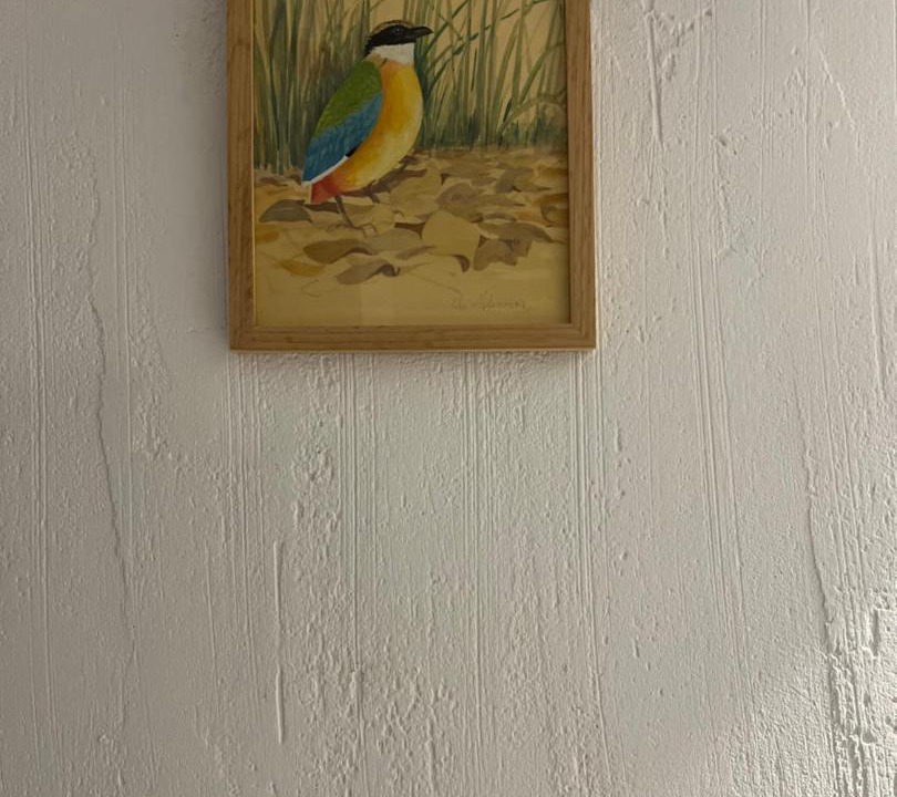 Photo of Others in Saint-Bertrand-de-Comminges