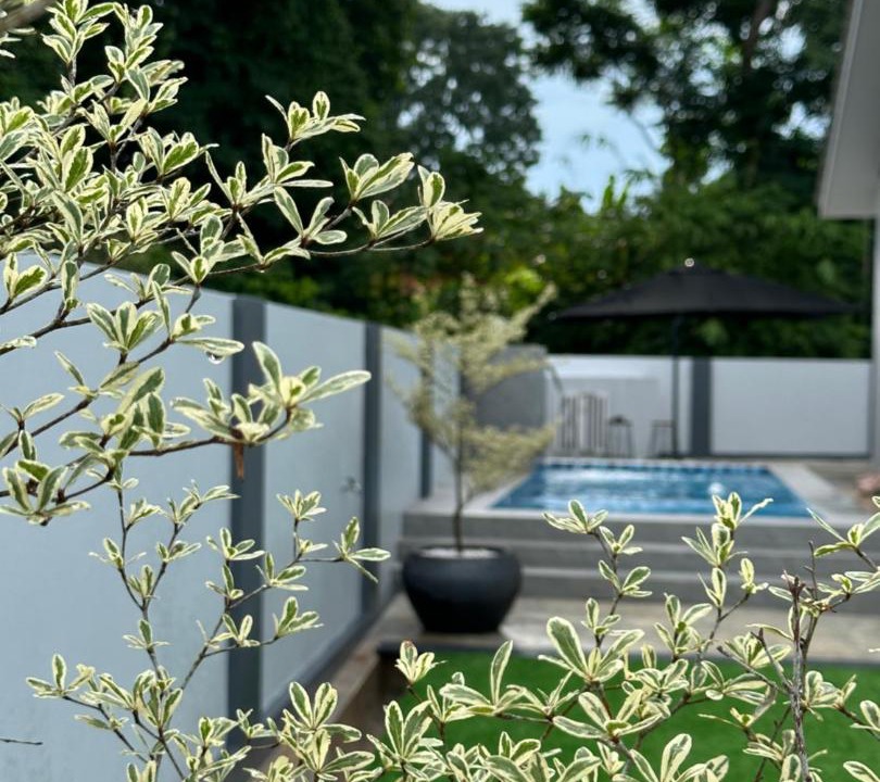 Photo of Others in Kota Bharu