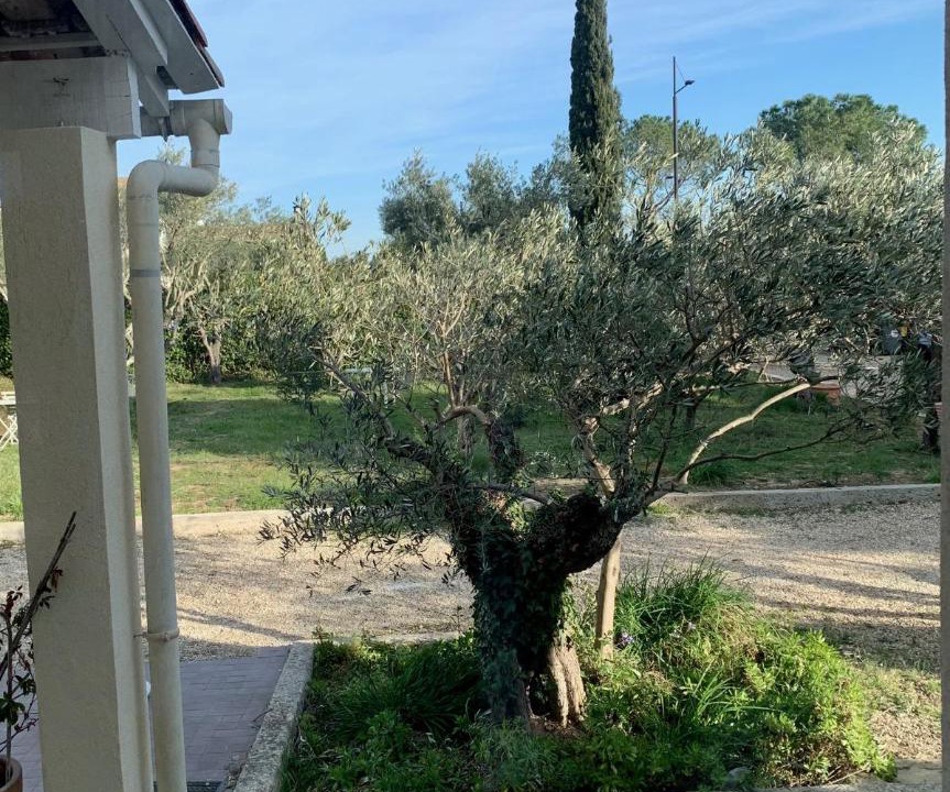 Photo of Others in Vergeze