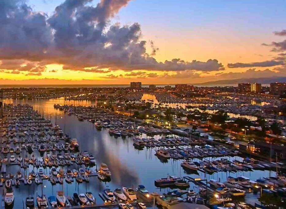 Photo of Others in Marina del Rey