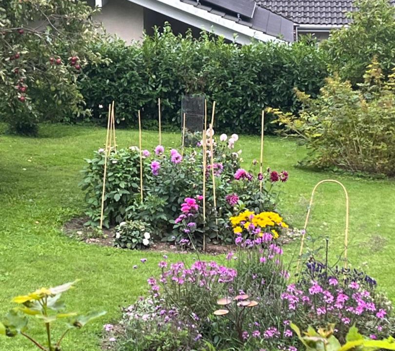 Photo of Others in Gilleleje