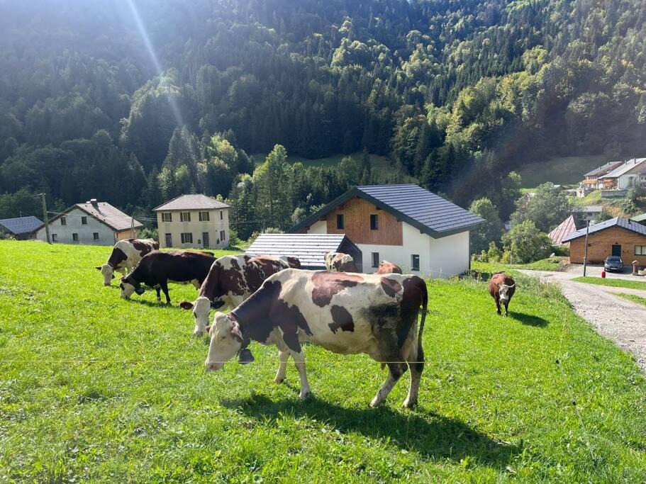 Photo of Others in Bellevaux