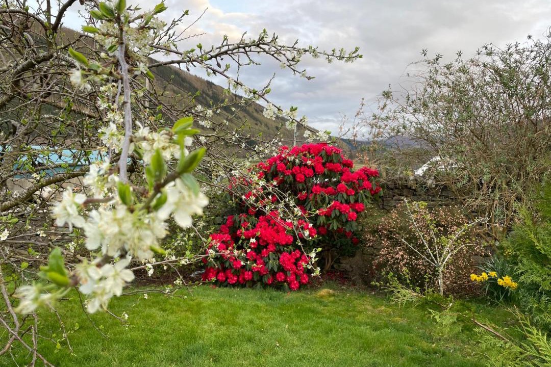 Photo of Others in Garve