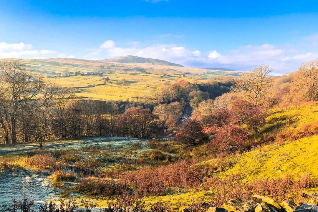 Photo of Others in Fremington