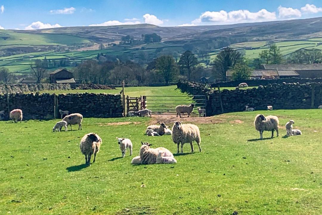 Photo of Others in Fremington