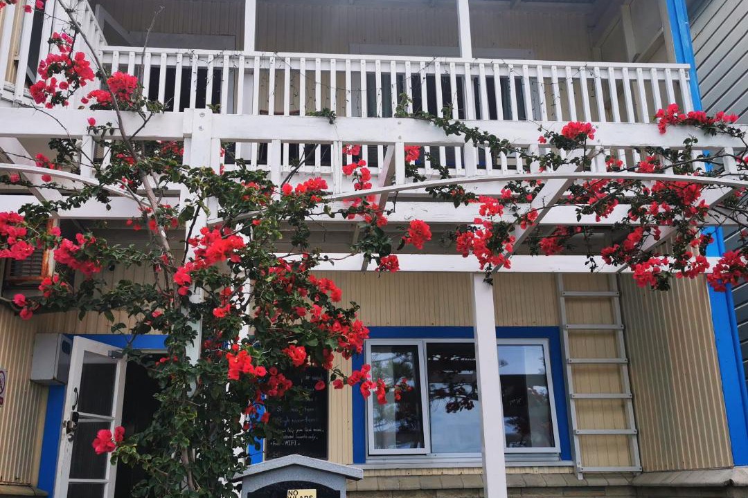 Photo of Others in Napier