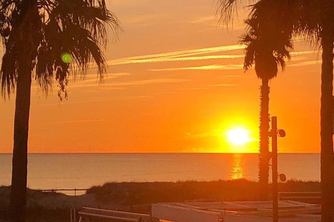 Photo of Others in La Jetee