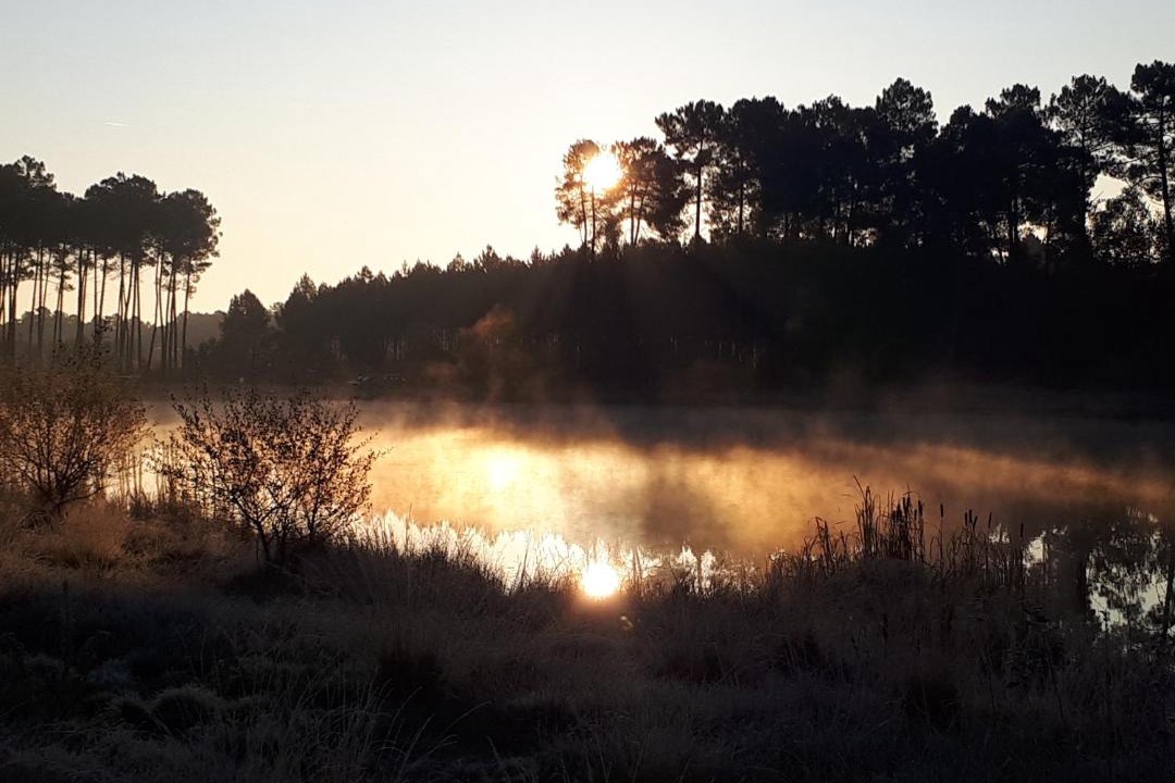 Photo of Others in Captieux
