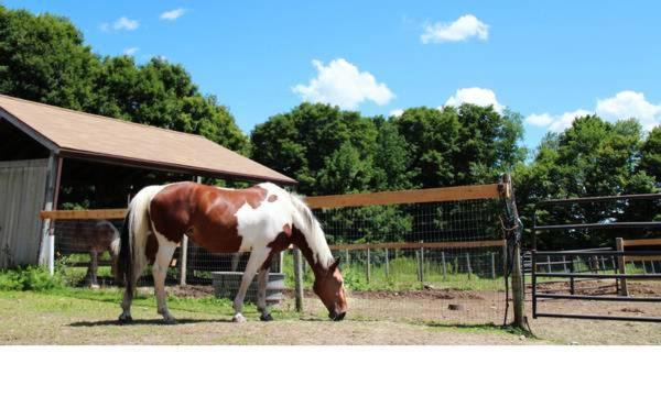 Photo of Others in Torrington