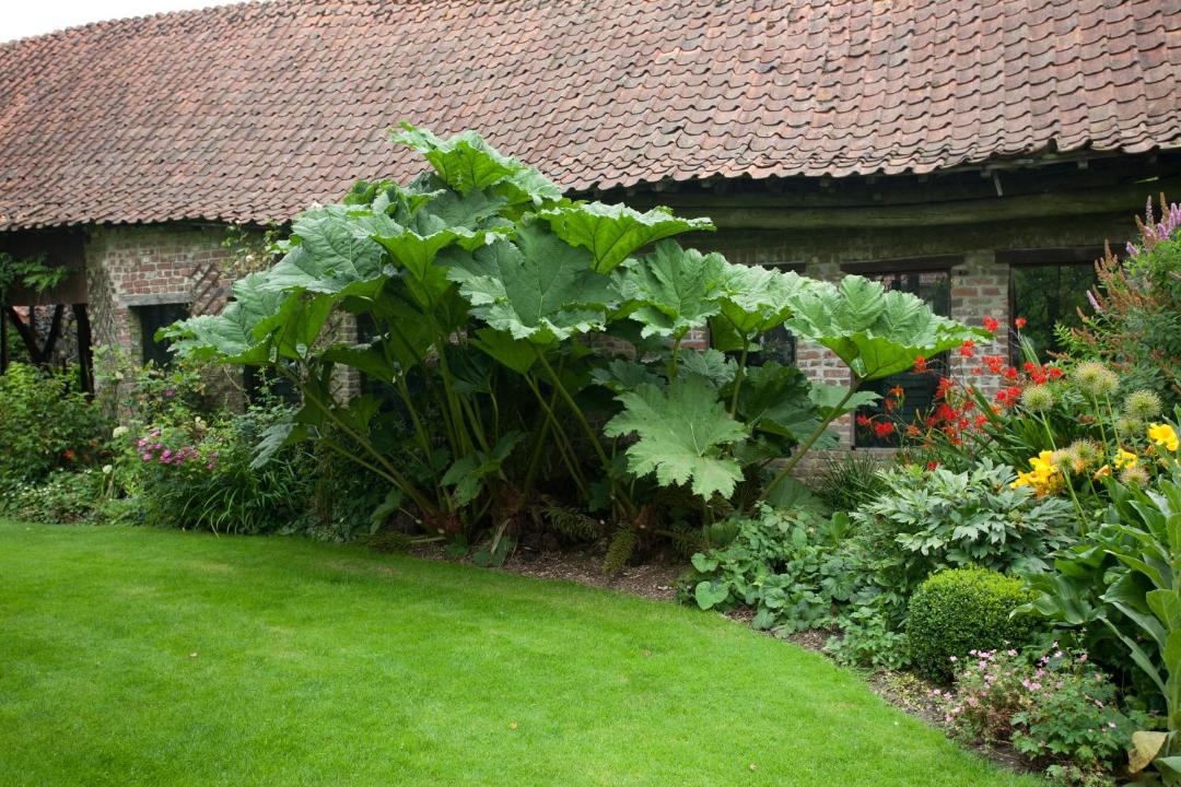 Photo of Others in Troisvaux