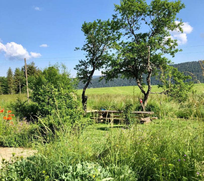 Photo of Others in Val-de-Travers