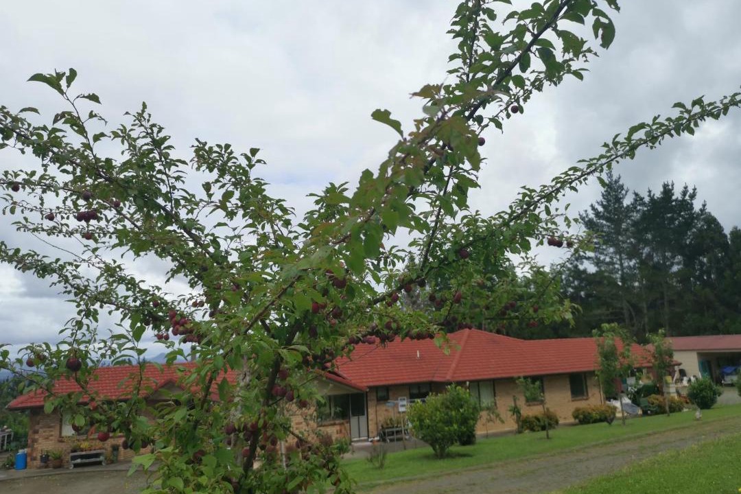 Photo of Others in Maungatapere