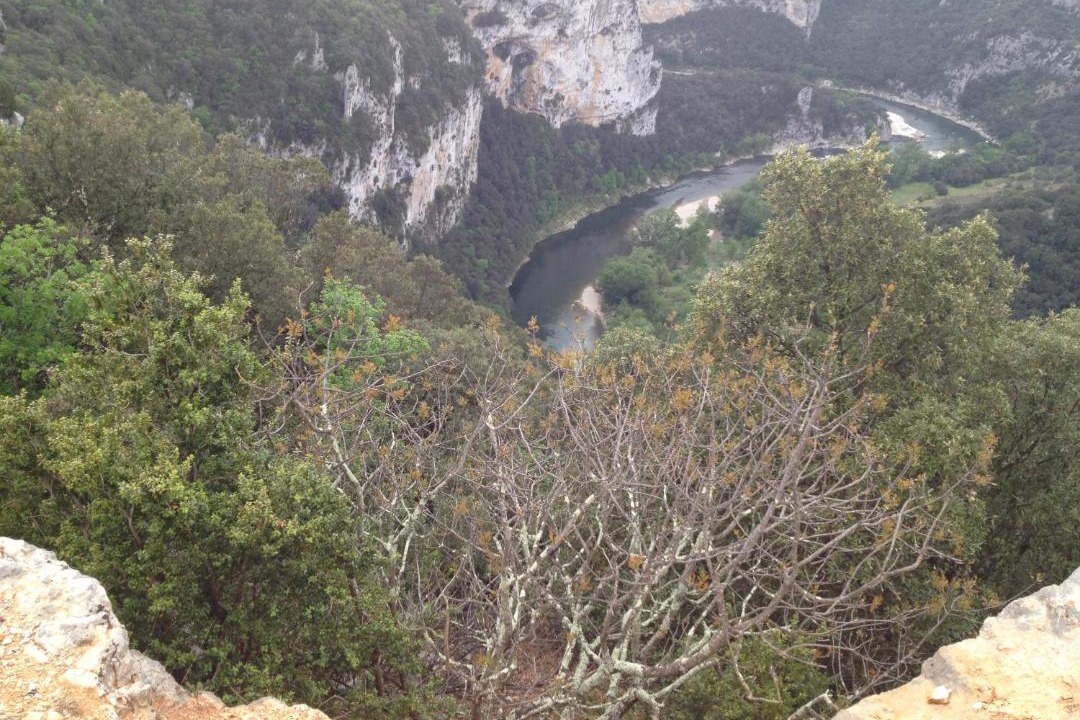 Photo of Others in Salavas