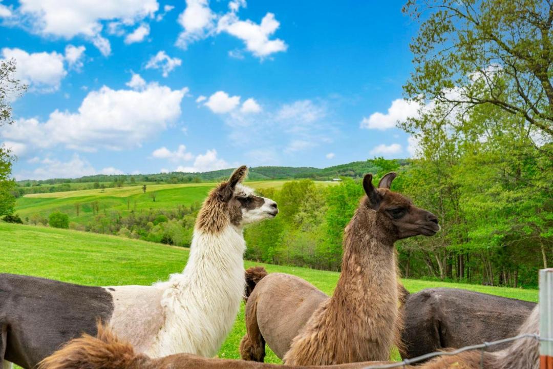 Photo of Others in Omaha