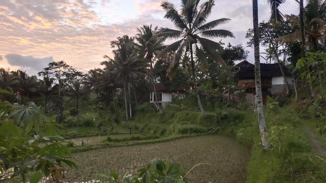 Photo of Others in Tetebatu