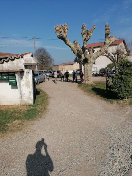 Photo of Others in Estrablin