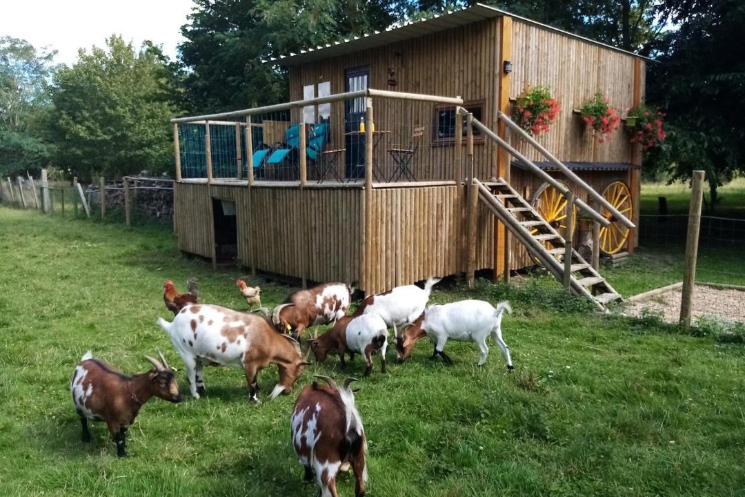 Photo of Others in Dangeau