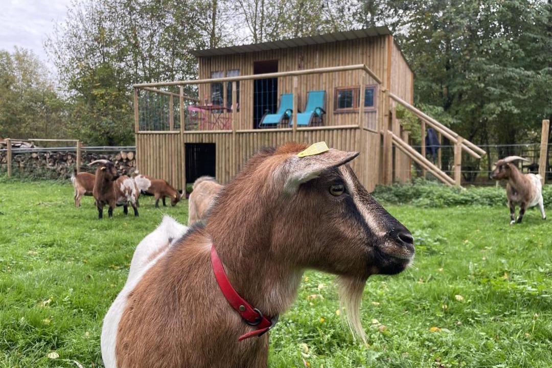 Photo of Others in Dangeau