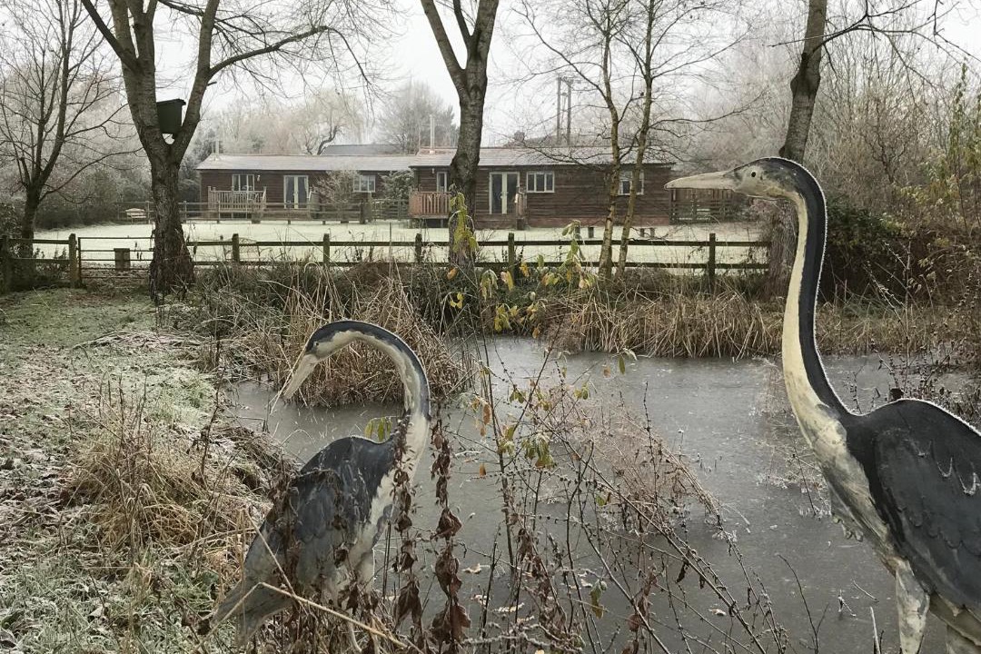 Photo of Others in Ludlow