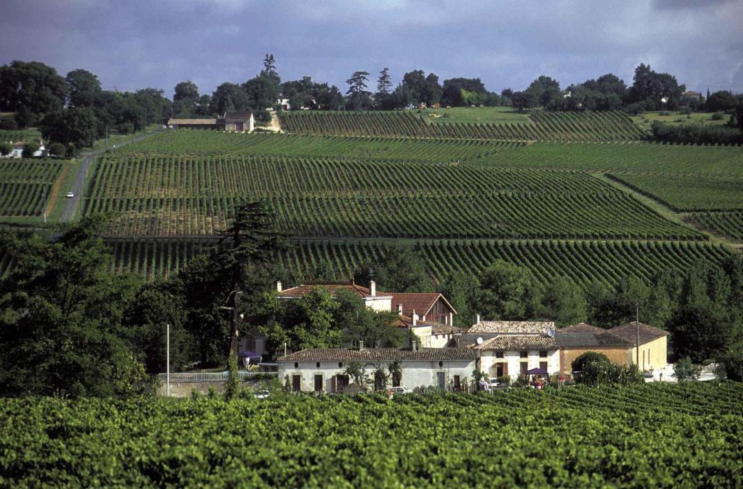 Photo of Others in Saint-Ciers-de-Canesse