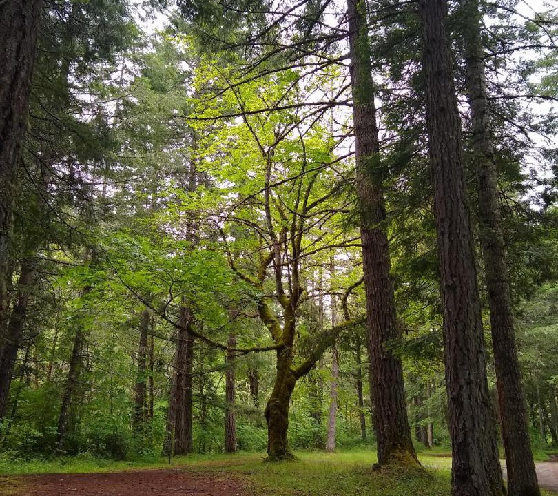 Photo of Others in Sunny Valley