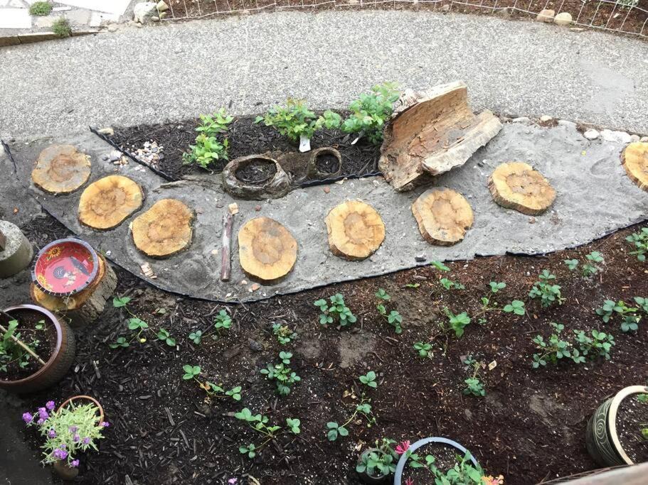 Photo of Others in Mount Tabor