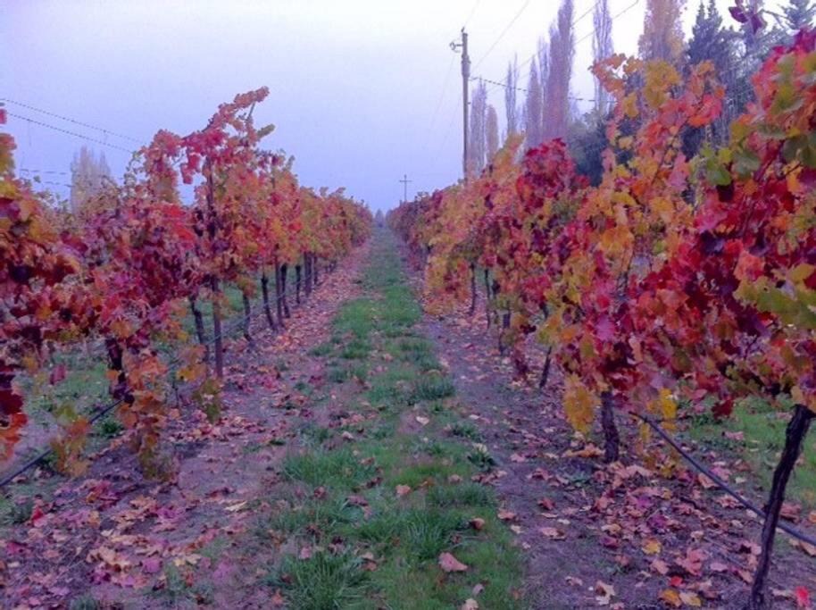 Photo of Others in Talent