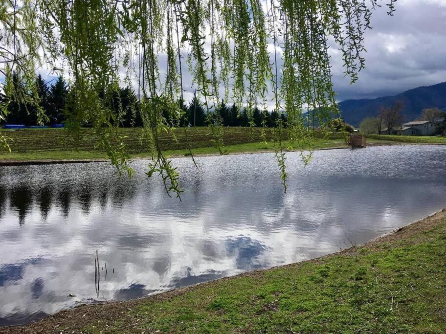 Photo of Others in Talent