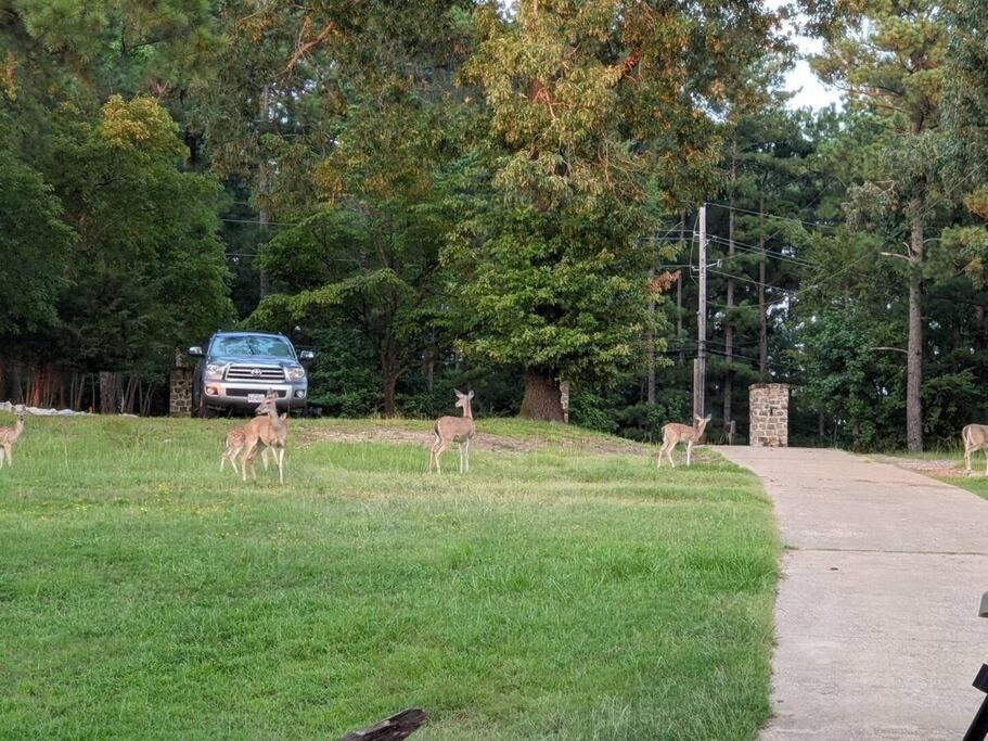 Photo of Others in Gladewater