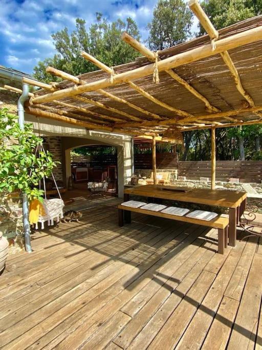 Photo of Others in Macinaggio