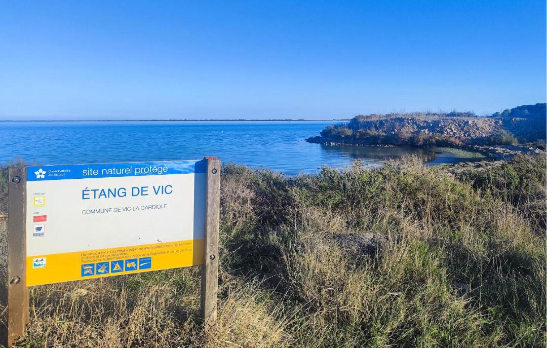 Photo of Others in Vic-la-Gardiole
