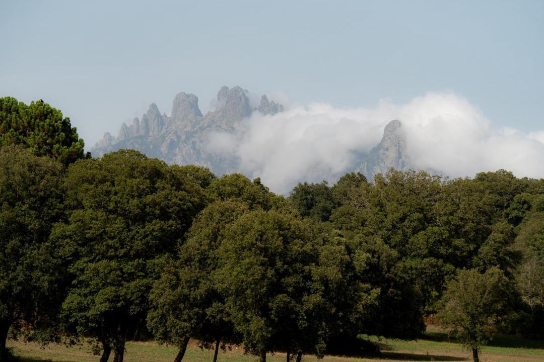 Photo of Others in Solaro