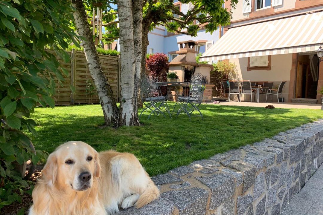 Photo of Others in Munster