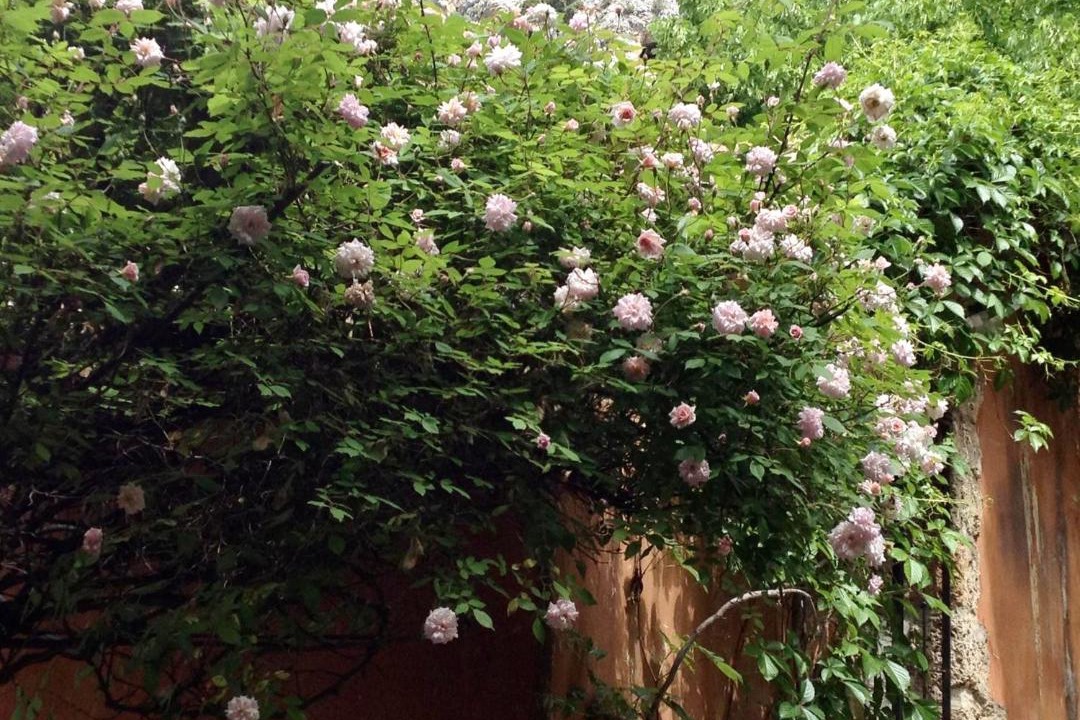 Photo of Others in Moustiers-Sainte-Marie