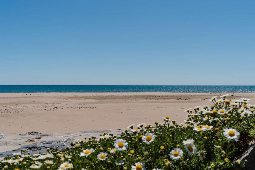 Photo of Others in Narbonne-Plage