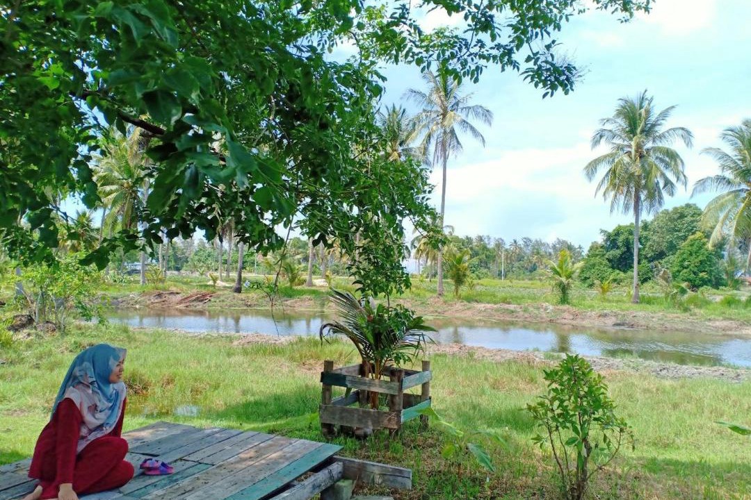Photo of Others in Kampung Telong