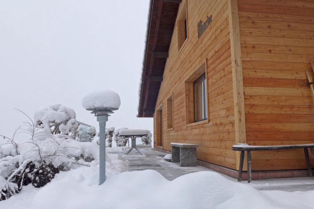Photo of Others in Wengen
