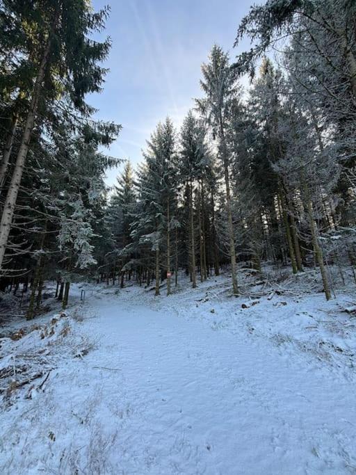 Photo of Others in Senones