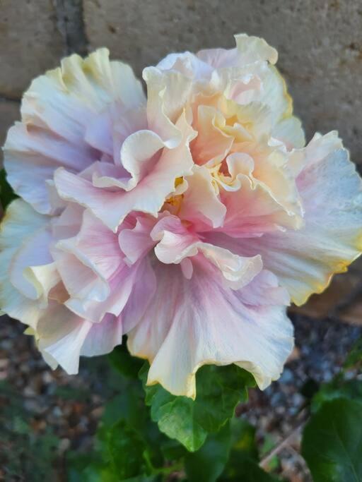 Photo of Others in Village Park