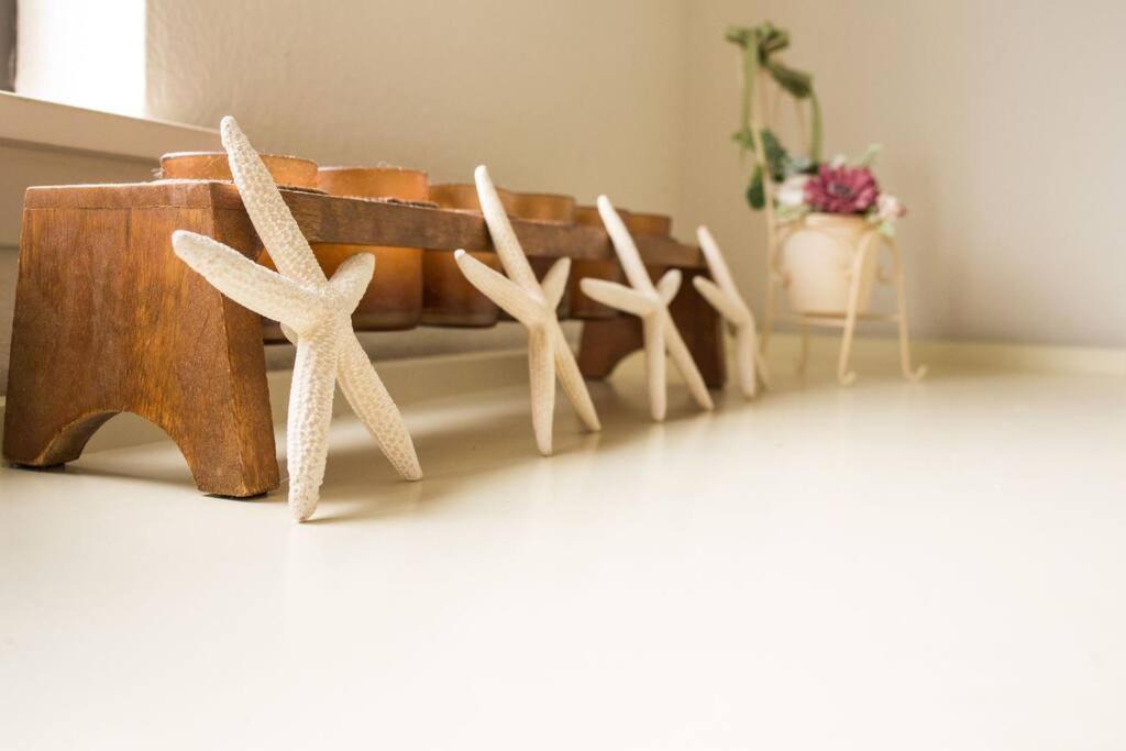 Photo of Others in Village Park