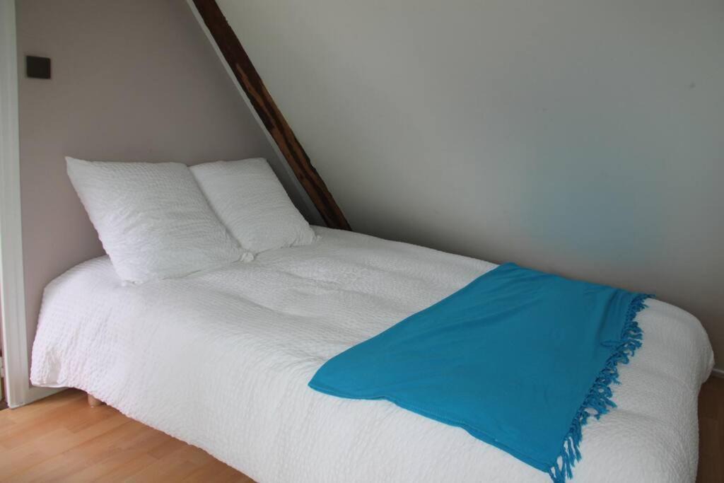 Photo of Others in Saint-Sulpice-des-Landes