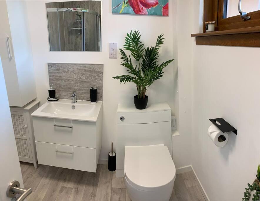 Photo of Others in Rothes