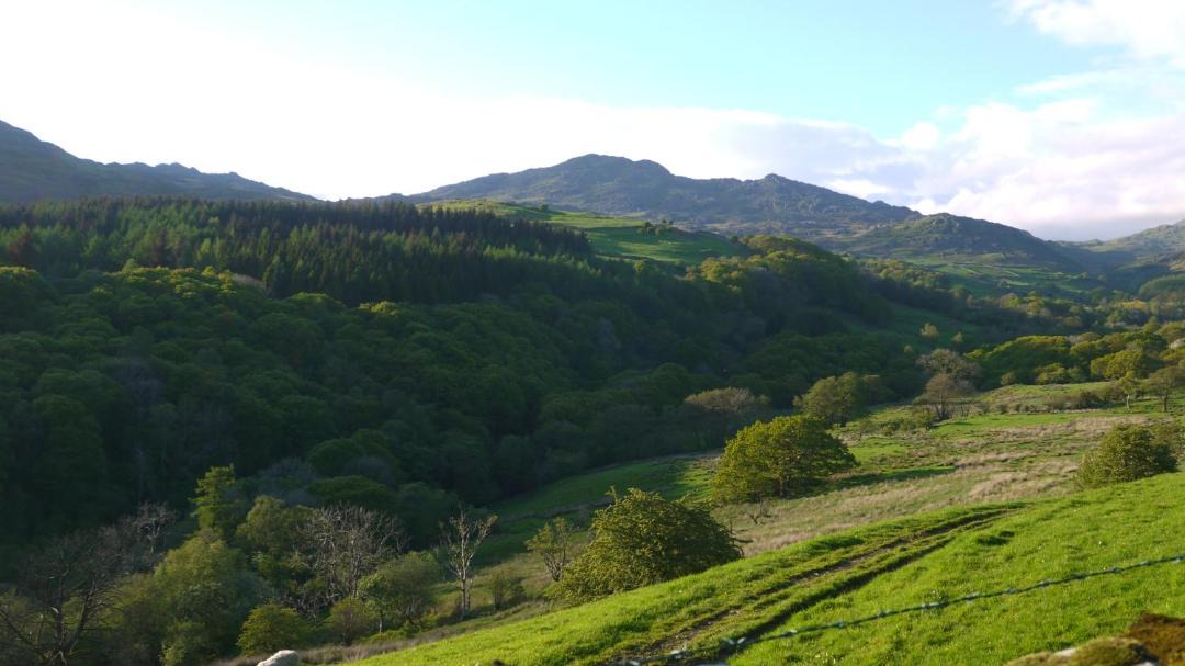 Photo of Others in Broughton Mills