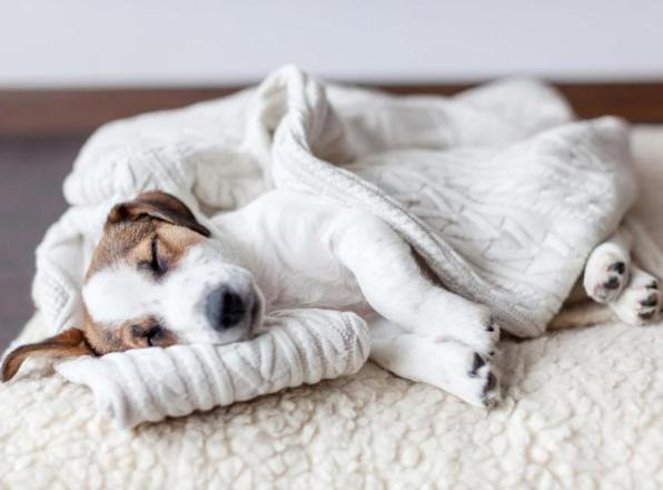 Photo of Others in Goole