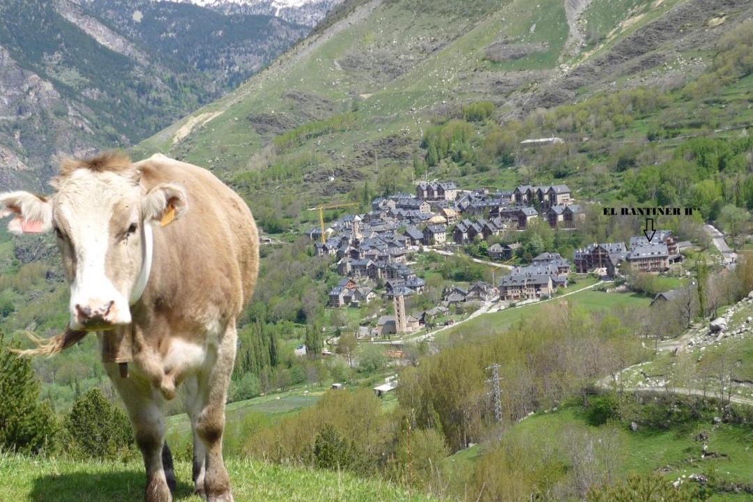 Photo of Others in Taull