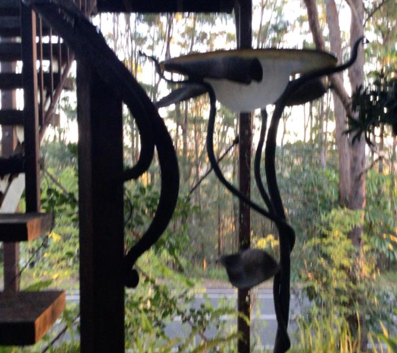 Photo of Others in Buderim