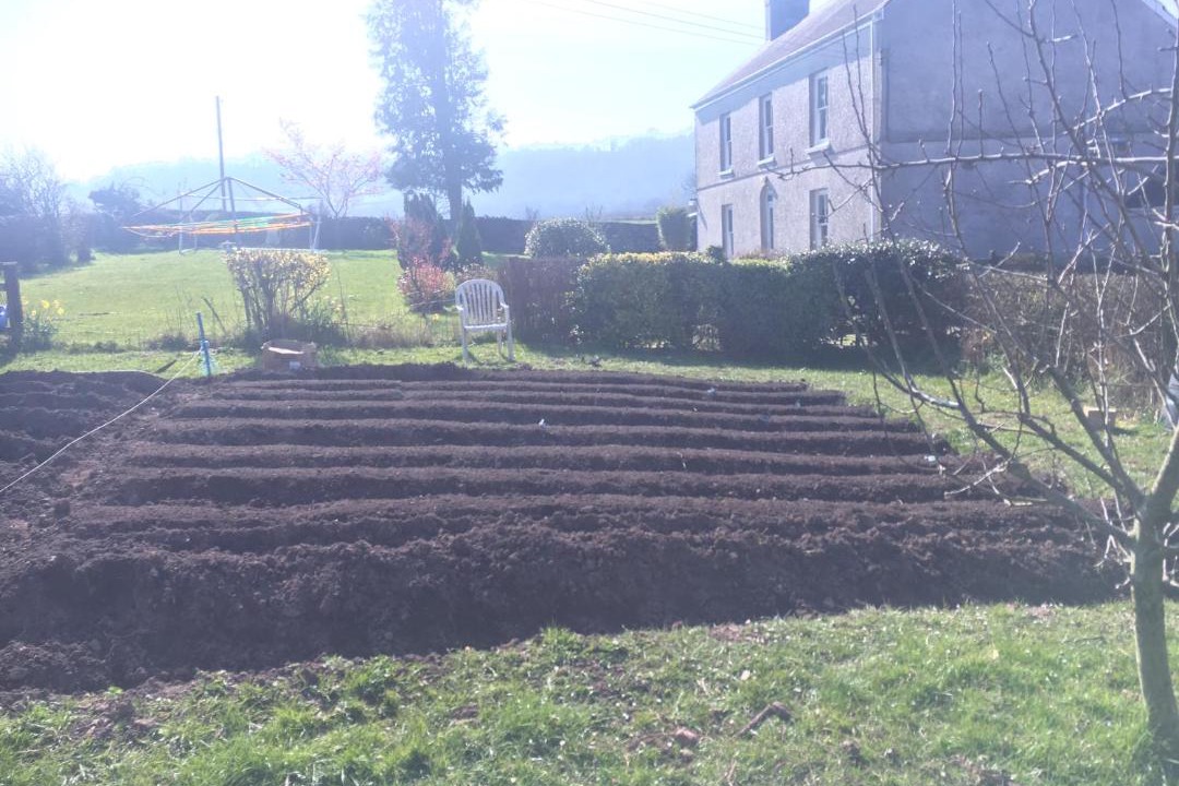 Photo of Others in Llanddarog