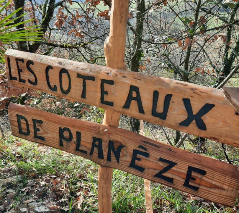 Photo of Others in Saint-Laurent-les-Tours