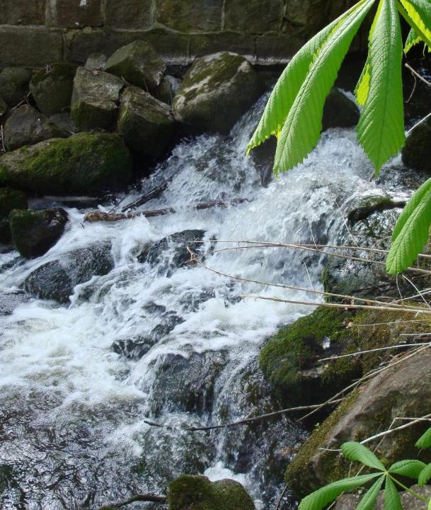 Photo of Others in Nederby